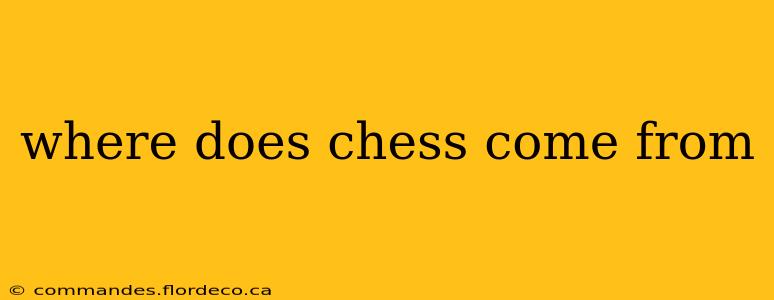 where does chess come from