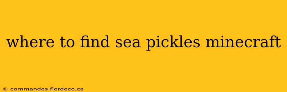 where to find sea pickles minecraft