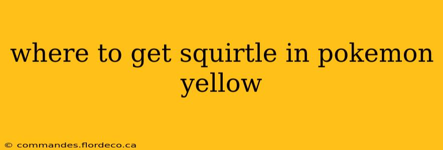where to get squirtle in pokemon yellow