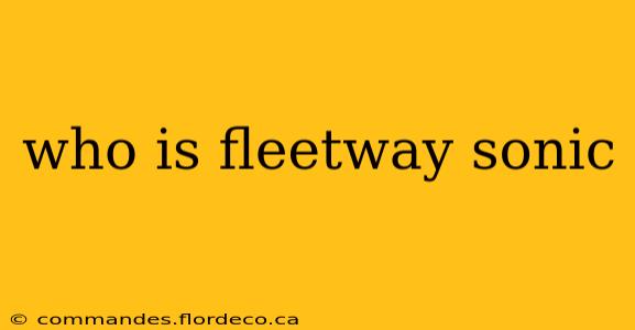 who is fleetway sonic