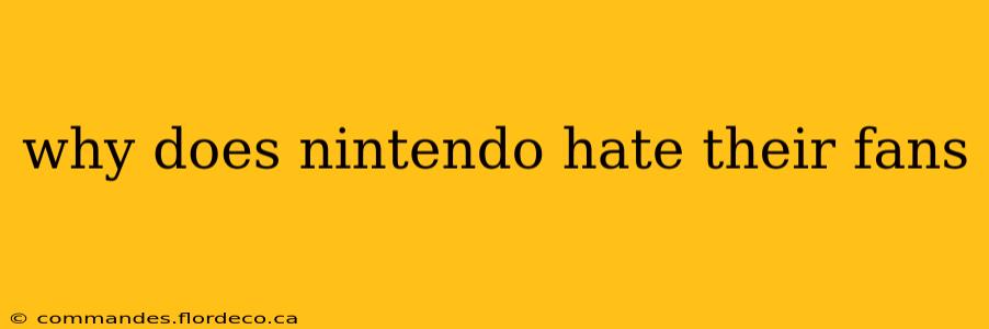 why does nintendo hate their fans