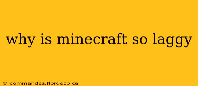 why is minecraft so laggy