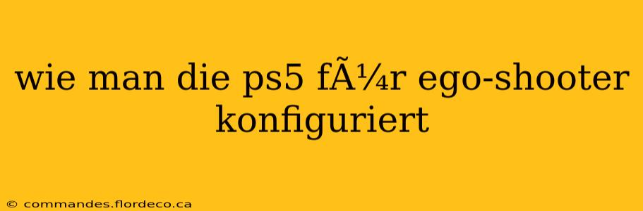 wie man die ps5 fÃ¼r ego-shooter konfiguriert
