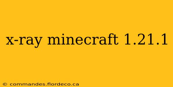 x-ray minecraft 1.21.1