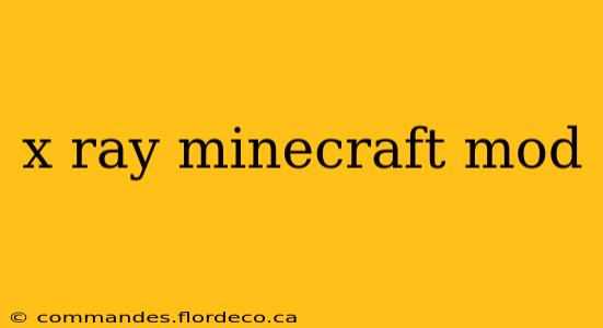 x ray minecraft mod