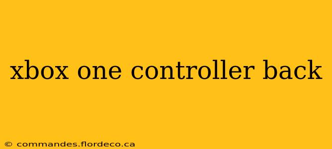 xbox one controller back